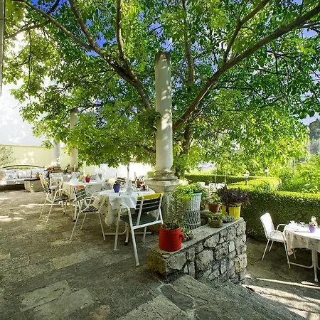 Barbara スクラーディン