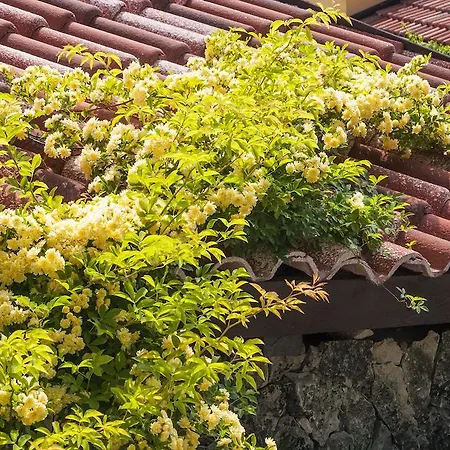 Barbara アパート